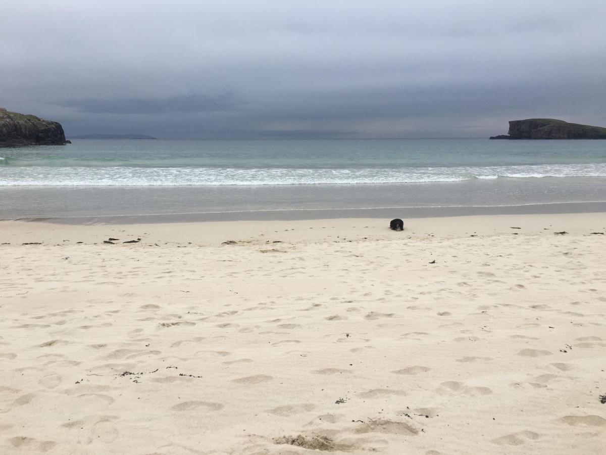 Eco Crofters Wagon By The Beach Oldshoremore ภายนอก รูปภาพ